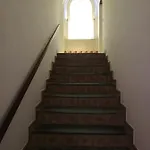Stella