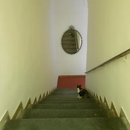 לינה וארוחת בוקר Stella 3*