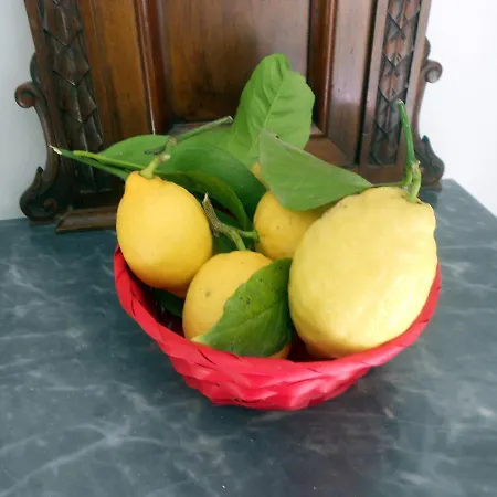 לינה וארוחת בוקר Stella