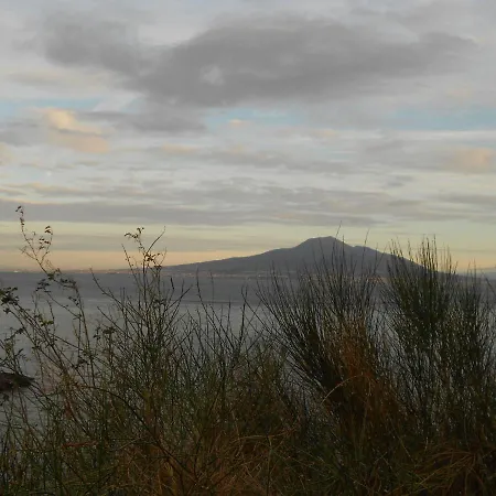 Stella ヴィーコ・エクエンセ