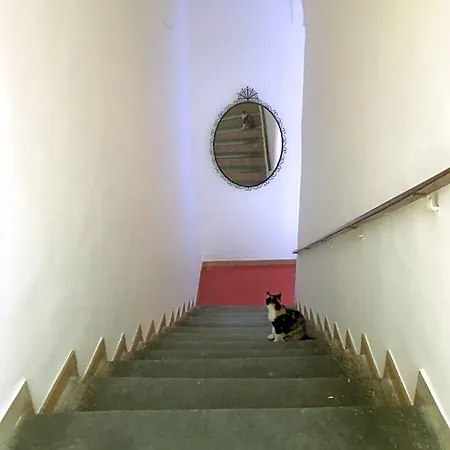 Stella Vico Equense